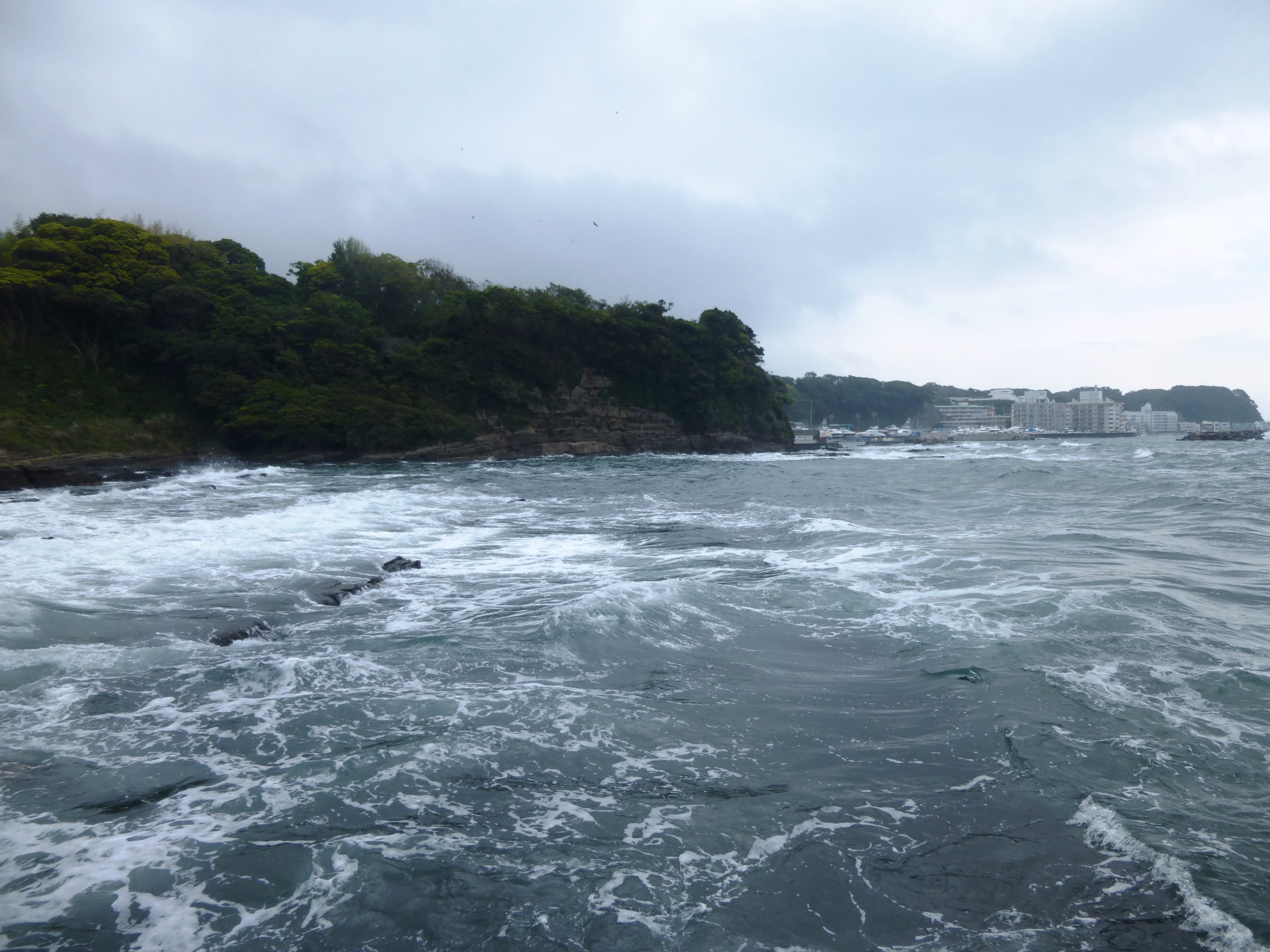 本日の海況