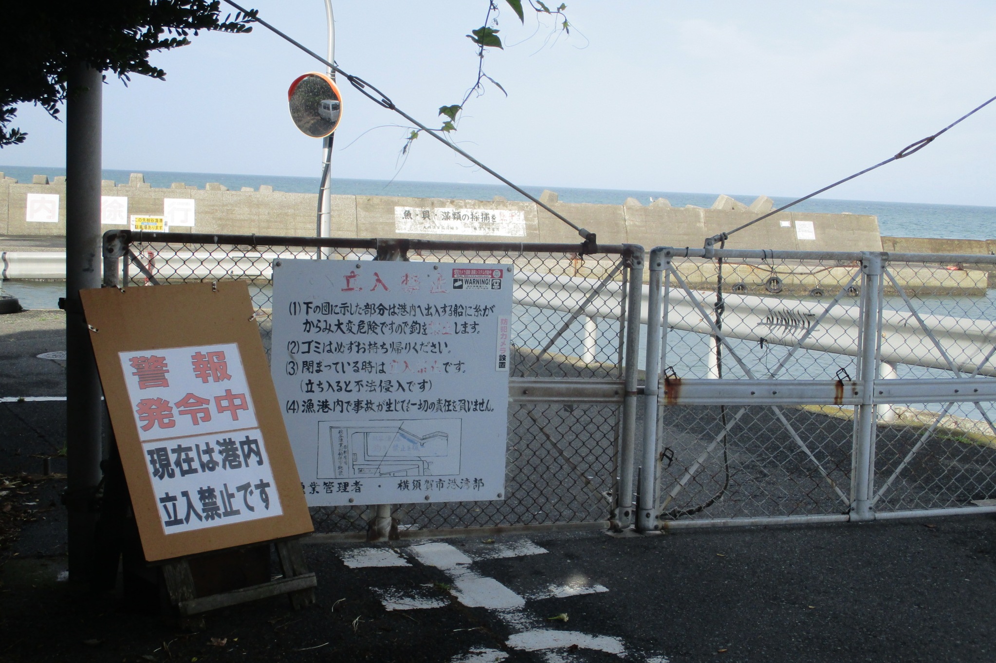 やっぱり台風