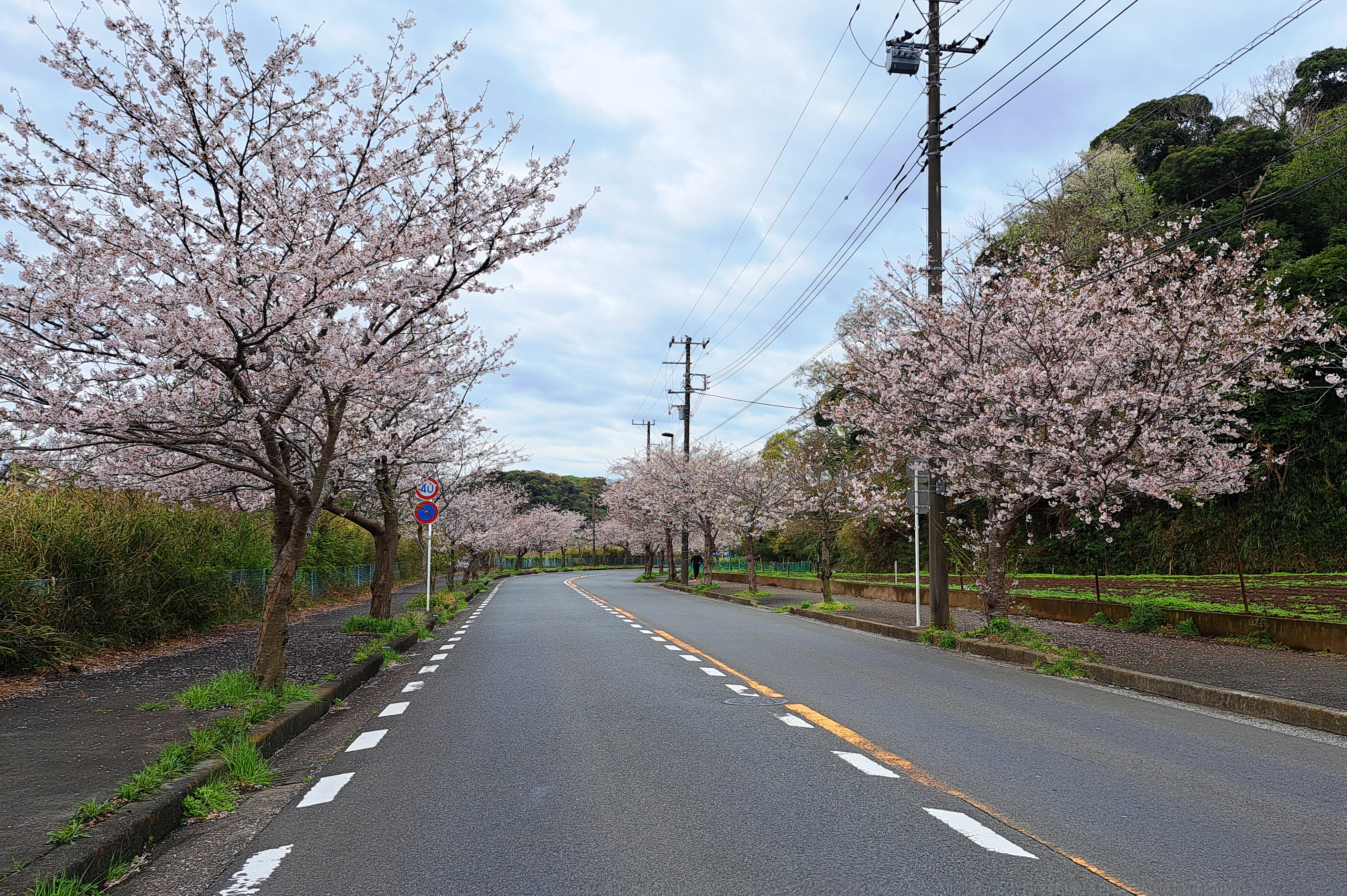 止みませんでした