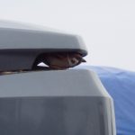 居心地バツグン？