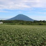 ご当地富士山