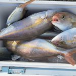 行楽ならぬ荒落の秋？