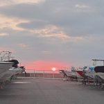 まさかの日曜日