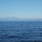 冬の味覚を求めて