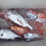 また週末が、、