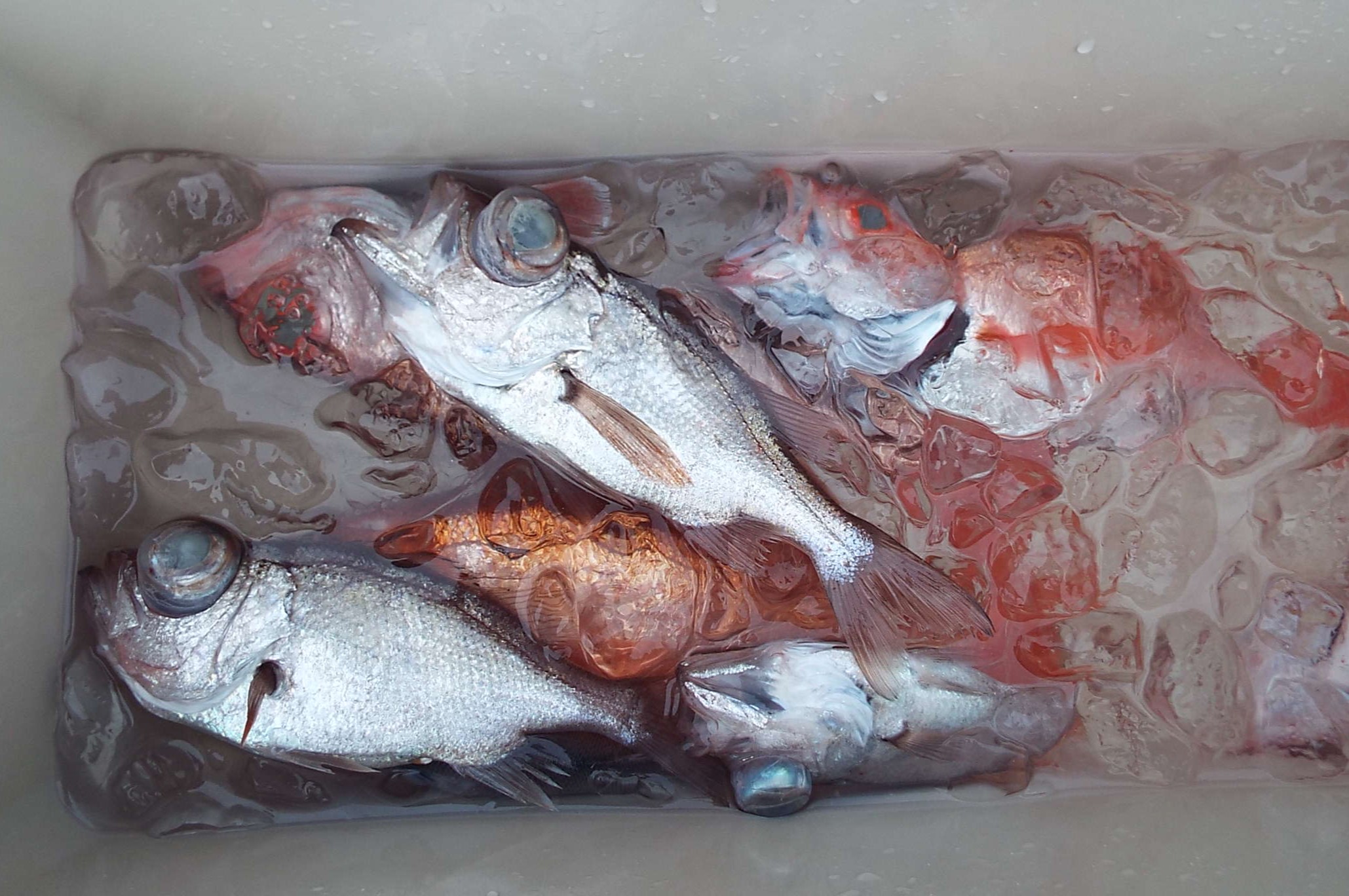 また週末が、、