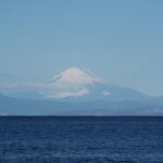 春っぽくなりました