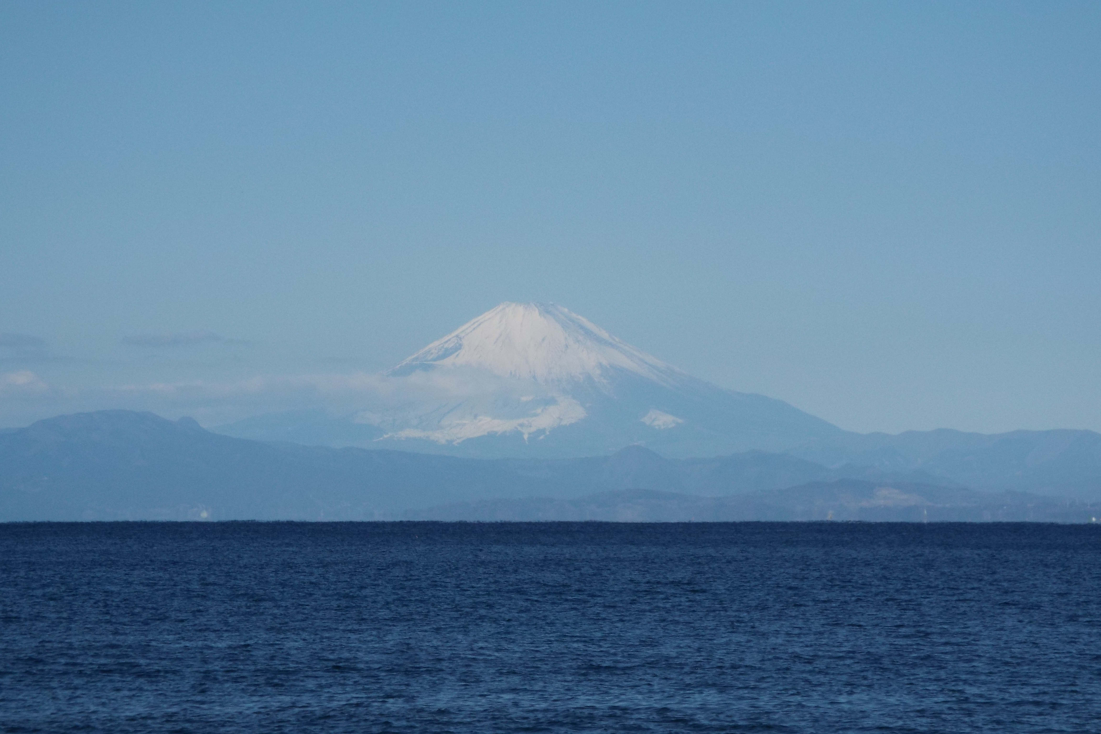 春っぽくなりました